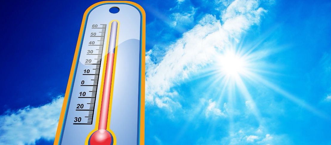 Training in the Heat: Adapting Your Performance Goals for Summer